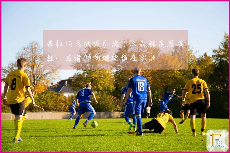 弗拉门戈欲吸引诺丁汉森林高层埃杜，后者倾向继续留在欧洲