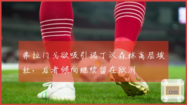 弗拉门戈欲吸引诺丁汉森林高层埃杜，后者倾向继续留在欧洲